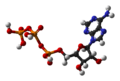 Adenozina trifosfato