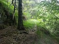 Bocca di Valle, l'inizio della mulattiera militare costruita nella Grande Guerra che collega la Bocca di Valle con quella di Cablone