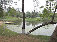 Lake with boating facilities in the park