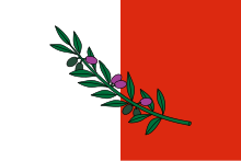 Flag of Rabat.svg