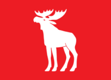 Flag of Ringsaker.gif