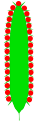 Esquema d'una espiga cilíndrica