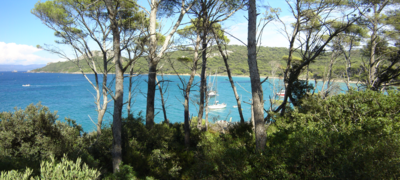 Plage Notre Dame de Porquerolles.