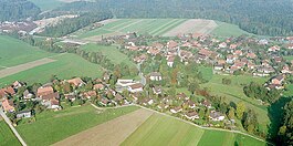 Aerial view of Rapperswil village