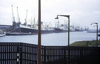 Royal Albert Dock 1973