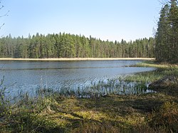 Salmijärvi toukokuussa 2016.