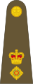 Exército Britânico (Lieutenant Colonel)