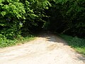 Chemin du désert.