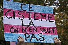 Pancarte en carton où est écrit "ce cistème là on en veut pas" sur un drapeau trans dessiné.