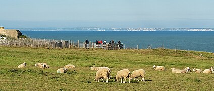 Panoráma Cap Gris-Nez szikláiról, amelyek Franciaország Angliához legközelebbi pontján magasodnak, mindössze 34 kilométerre, látótávolságon belül a Csatorna túloldalán lévő Dover fehér szikláitól.