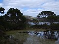 Lake Seppings Overflow Pond, the water is pumped to the golf course across the road