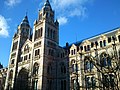 Musée d'histoire naturelle de Londres