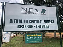 Poster of Kitubulu Central Forest Reserve in Entebbe, Central Uganda.