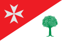 Bandeira de Binaced