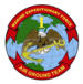 I Marine Expeditionary Force