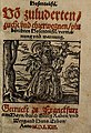 Titelblatt-Karikatur des „pluderichten Hosenteufel“ von 1563