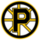 Logo der Providence Bruins