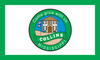 Flag of Collins, Mississippi