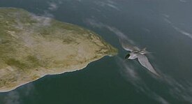 One of the only two CGI shots in Winged Migration, in which an Arctic tern flies above southern Africa