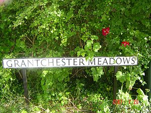 Road name sign in front of foliage