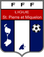 Shirt badge/Association crest