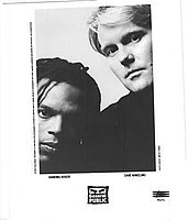 Ranking Roger and Dave Wakeling, 1994