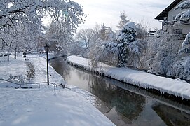 Neumagen River