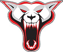 Team logo