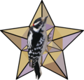 For your excellent work sourcing and improving BLPs, and tackling the unenviable task of reading the "wisdom" of Mike Scully and improving his page. For this, and more, I award you the Golden Woodpecker Award. -- Scorpion0422 23:21, 21 February 2010 (UTC)