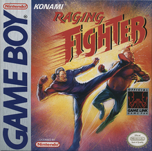 Raging Fighter