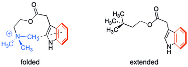 Cation–π interaction in indole-3-acetic acid choline ester compared to neutral analog