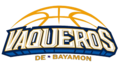 Current logo