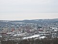 Binghamton