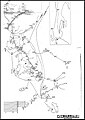 A Japanese Naval Map of June 1905 during Russo-Japanese War shows the Japanese military telegraph lines between Japan and Korea as of June 1905. The wavy line from Oki to Korea through Liancourt Rocks and Ulleungdo (Matsushima, 松島) is marked as "Planned" (豫定)the line was instead linked from Liancourt Rocks to Matsue. -->