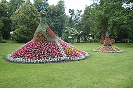 Kurpark Pheasants