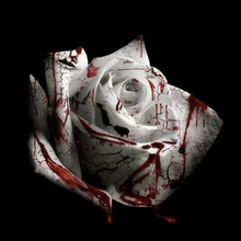 A photo of a white rose covered in blood.