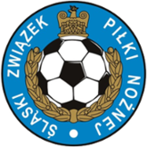 Shirt badge/Association crest