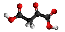 Oksaloacetata acido