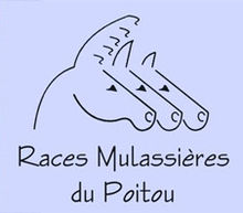 Le logo est composé de figures équines au dessin stylisé, présentées avec un décalage : l'équidé au premier plan représente la tête d'un Baudet du Poitou, le second une mule poitevin et le troisième un trait poitevin.