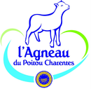 Image illustrative de l’article Agneau du Poitou-Charentes