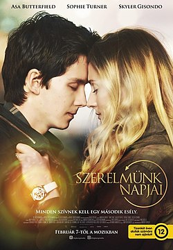 A film hazai plakátja