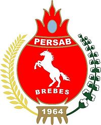 Logo Persab Brebes