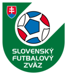 Shirt badge/Association crest