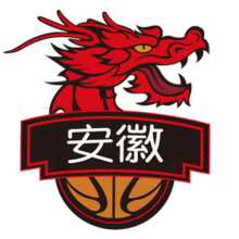 安徽文一 logo